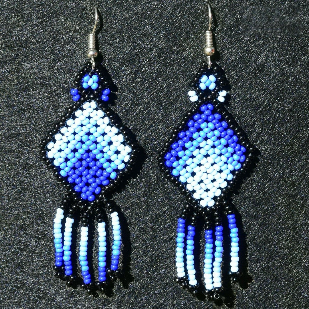 Beaded Earrings NA-TM-0818-17