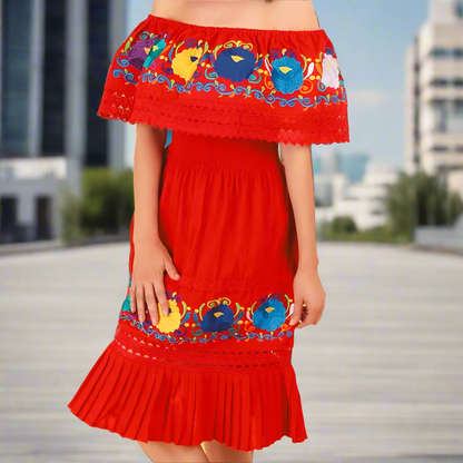 Embroidered Dress NA-TM-77355