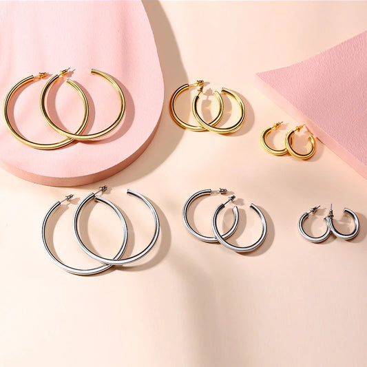 Earrings for Women Simple Hoop Stainless Steel Ear Jewelry